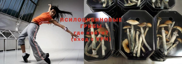 бошки Аркадак