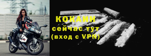 бошки Аркадак