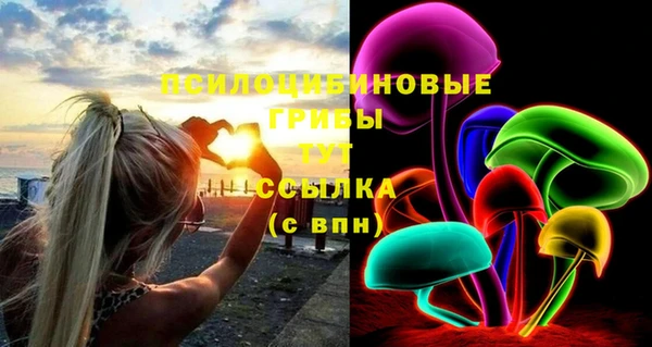бошки Аркадак